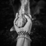 A black-and-white image of a human hand holding a dog's paw, symbolizing companionship.
