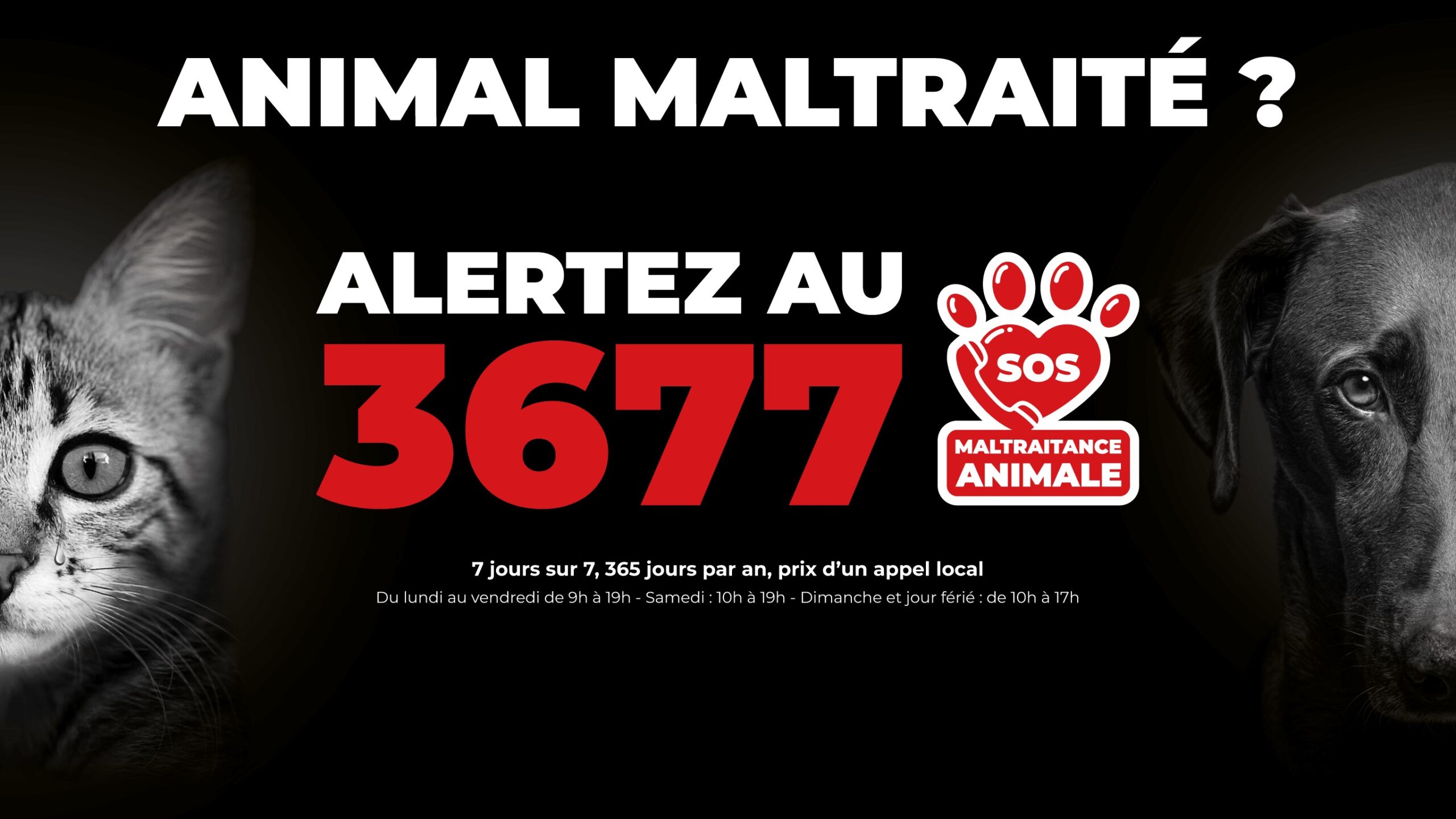 Signaler une maltraitance animale 